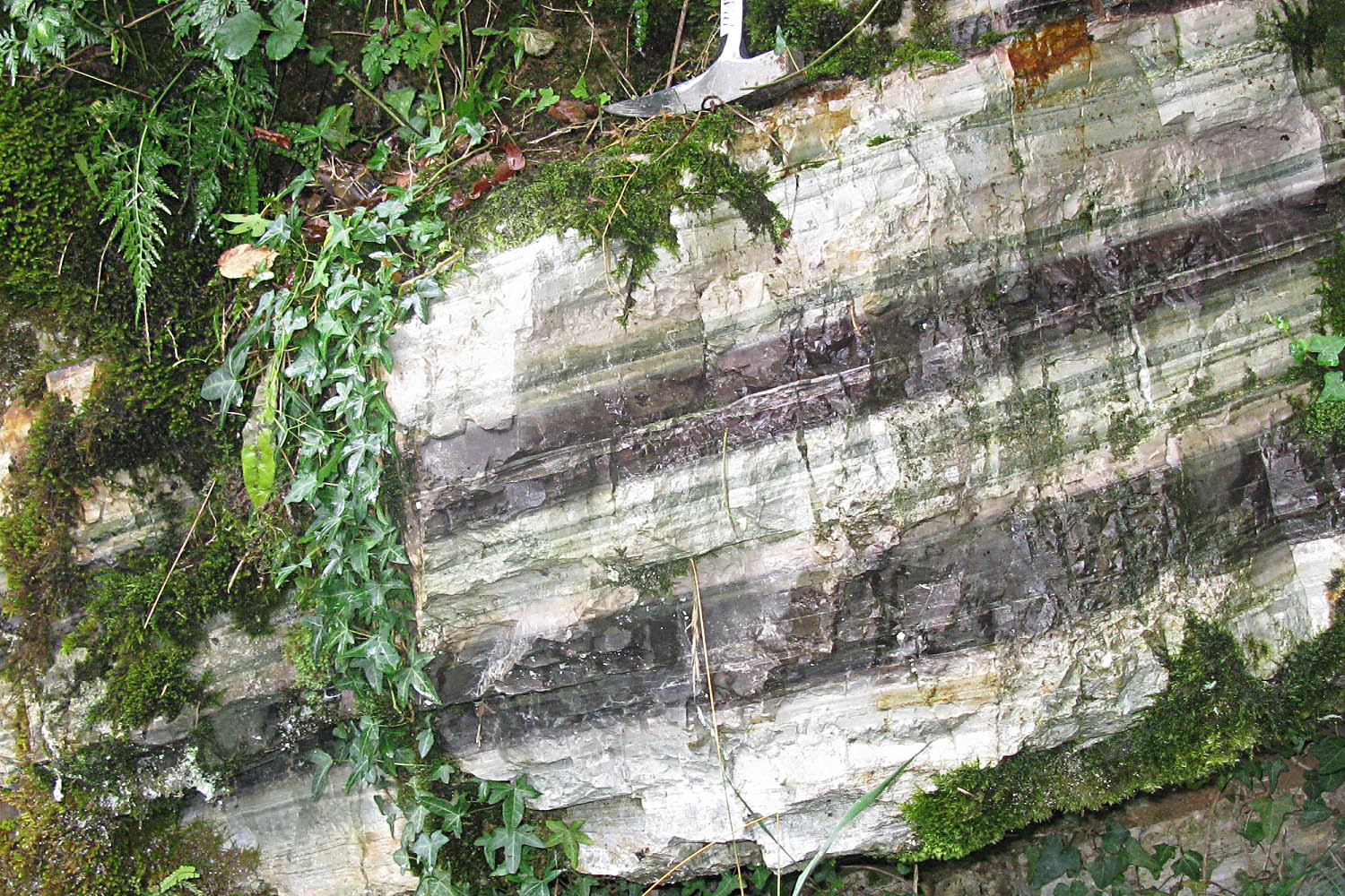 2018 10 08 FS BUZY OGEU 7red copie