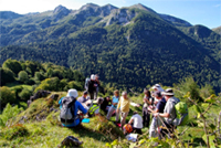 Discussions autour des dolomies 